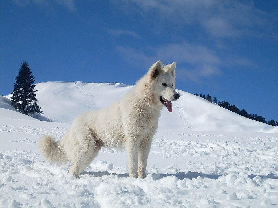 Milow