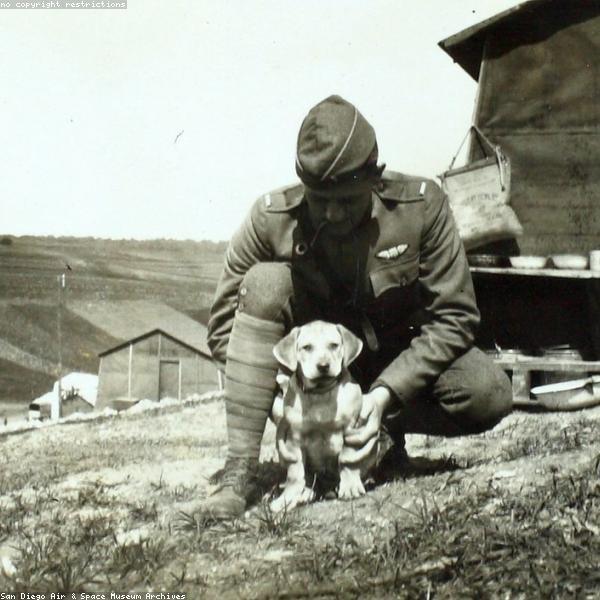 Thor – Deutscher Schäferhund
